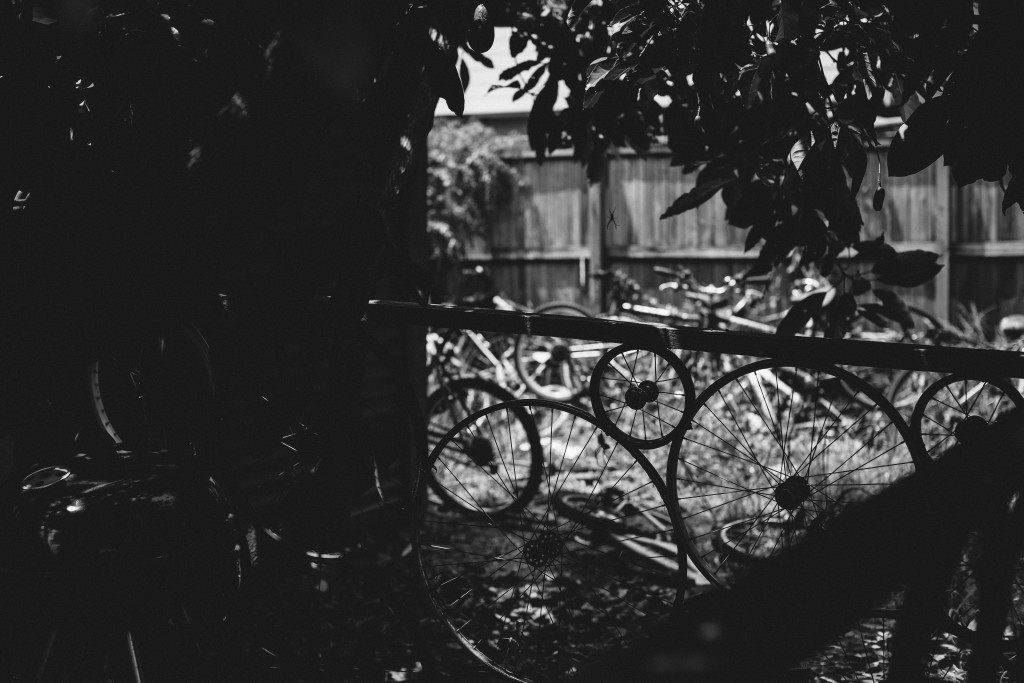 Jared_Adele_Engagement-78